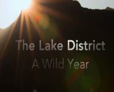 Download A Wild Year (Season 1) (English Audio) Esubs Web-Dl 720p [500MB] || 1080p [4GB]