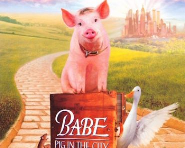 Download Babe: Pig in the City (1998) {English With Subtitles} 720p [800MB]