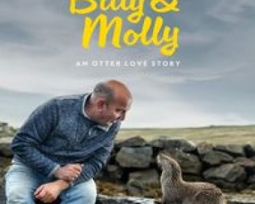 Download Billy & Molly: An Otter Love Story (2024) {English With Subtitles} WEB-DL 480p [230MB] || 720p [630MB] || 1080p [1.5GB]