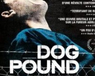 Download Dog Pound (2010) {English With Subtitles} 480p [350MB] || 720p [700MB]