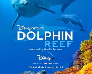Download Dolphin Reef (2018) {English With Subtitles} 480p [300MB] || 720p [800MB] || 1080p [1.8GB]