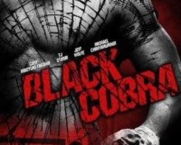 Download Black Cobra (2012) Dual Audio (Hindi-English) 480p [300MB] || 720p [800MB]