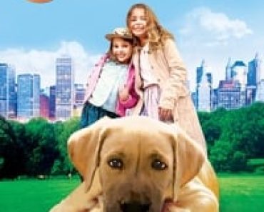 Download Chestnut Hero of Central Park (2004) Dual Audio {Hindi-English} Esubs WEB-DL 480p [286MB] || 720p [835MB] || 1080p [1.7GB]