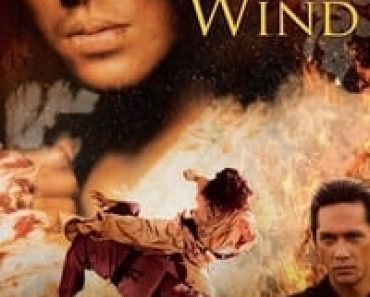 Download Fighter In The Wind (2004) Dual Audio {Hindi-Korean} Esubs BluRay 480p [473MB] || 720p [1.2GB] || 1080p [2.6GB]