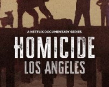 Download Homicide (Season 1-2) {English Audio with Esubs} Web-DL 720p [450MB] || 1080p [1.1GB]