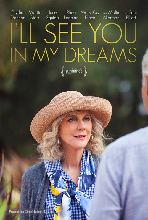 Download Ill See You in My Dreams Movie 2015