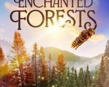 Download Inside the Enchanted Forests (Season 1) (English Audio) Esubs Web-Dl 720p [350MB] || 1080p [2.2GB]