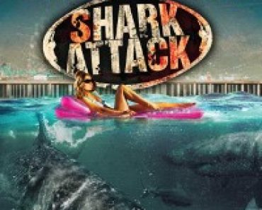 Download Jersey Shore Shark Attack (2012) Dual Audio (Hindi-English) 480p [300MB] || 720p [1GB]