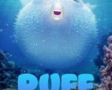 Download Puff Wonder of the Reef (2021) Dual Audio (Hindi-English) 480p [200MB] || 720p [650MB] || 1080p [1.5GB]