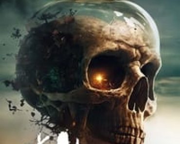 Download Skal Fight for Survival (2023) Dual Audio {Hindi-English} Esubs BluRay 480p [256MB] || 720p [748MB] || 1080p [1.5B]