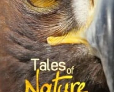 Download Tales Of Nature (Season 1) (English Audio) Esubs Web-Dl 720p [430MB] || 1080p [3.3GB]