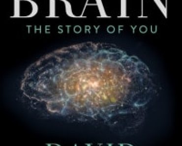 Download The Brain with David Eagleman (Season 1) {English With Subtitles} WeB-DL 720p [450MB] || 1080p [1GB]
