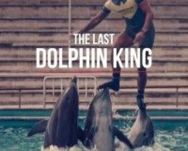 Download The Last Dolphin King (2022) {English With Subtitles} 480p [300MB] || 720p [750MB] || 1080p [1.8GB]