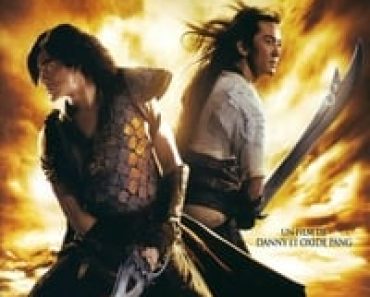 Download The Storm Warriors (2009) Dual Audio {Hindi-Chinese} Esubs BluRay 480p [371MB] || 720p [1.0GB] || 1080p [2.2GB]