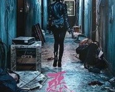 Download The Villainess (2017) Dual Audio {Hindi-Korean} 480p [400MB] || 720p [1GB] || 1080p [2.5GB]