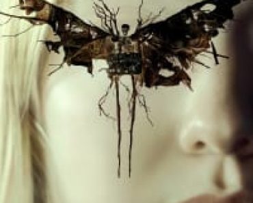 Download The Watchers (2024) {English Audio} Msubs WEB-DL 480p [300MB] || 720p [820MB] || 1080p [1.9GB]