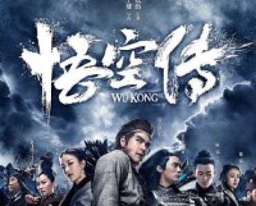 Download Wukong (2017) Dual Audio (Hindi-Chinese) 480p [400MB] || 720p [950MB]