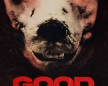 Download Good Boy (2022) Dual Audio {Hindi-Norwegian} BluRay 480p [350MB] || 720p [770MB] || 1080p [1.7GB]