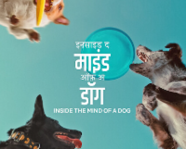 Download Inside The Mind Of A Dog (2024) Dual Audio (Hindi-English) Web-Dl 480p [250MB] || 720p [680MB] || 1080p [1.6GB]