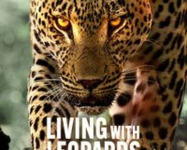 Download Living with Leopards (2024) {English With Subtitles} WEB-DL 480p [210MB] || 720p [570MB] || 1080p [1.3GB]