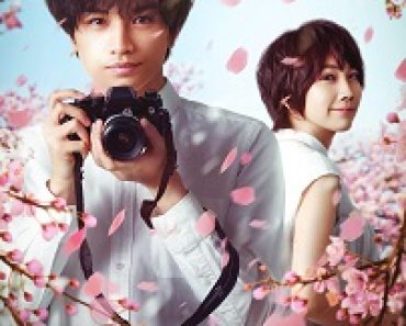 Download Love Like the Falling Petals (2022) {English-Japanese} 480p [500MB] || 720p [1.2GB] || 1080p [2.7GB]