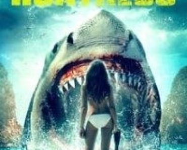 Download Shark Huntress (2021) {English With Subtitles} 480p [350MB] || 720p [770MB]