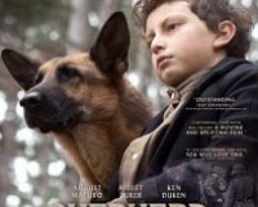Download Shepherd The Hero Dog (2020) {English Audio} 480p [300MB] || 720p [800MB] || 1080p [1.8GB]