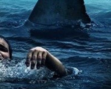 Download The Reef (2010) {English With Subtitles} 480p [300MB] || 720p [700MB]