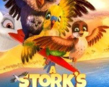 Download A Stork’s Journey (2017) Dual Audio (Hindi-English) 480p [300MB] || 720p [1GB]
