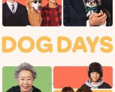 Download Dog Days (2024) {Korean Audio With Eng Subtitles} WEB-DL 480p [350MB] || 720p [1GB] || 1080p [2GB]